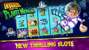 Dashboard akun dengan tampilan saldo real-time di maxplay303